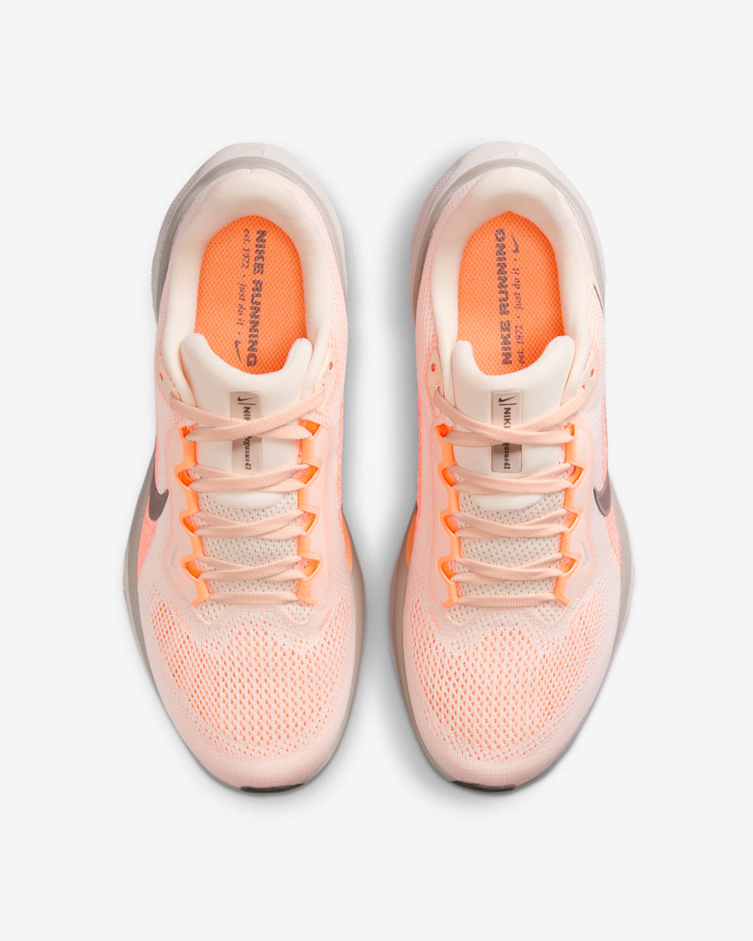 Nike Air Zoom Pegasus 41 pour femmes